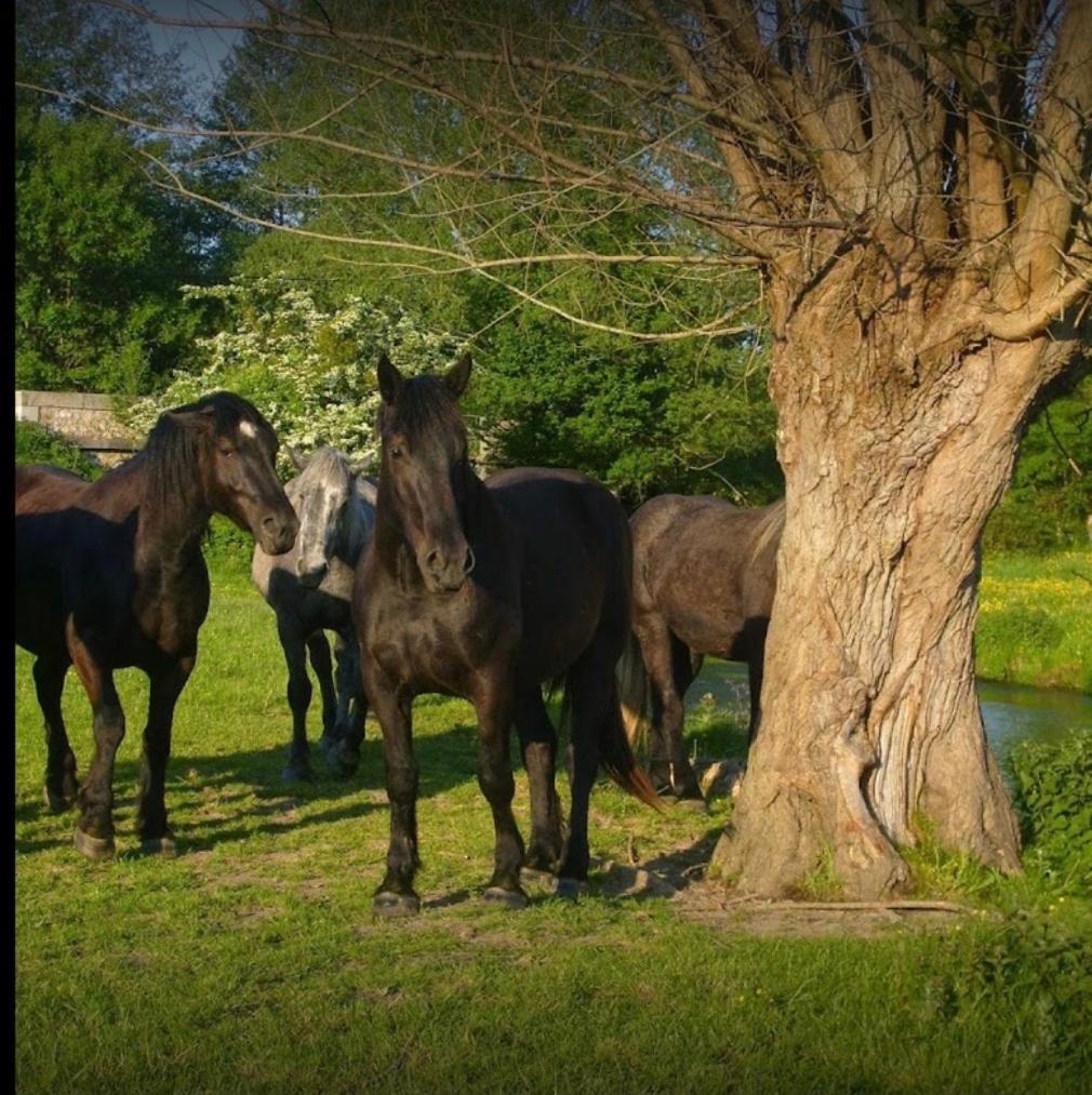 Vila La Meuniere Jouy  Exteriér fotografie